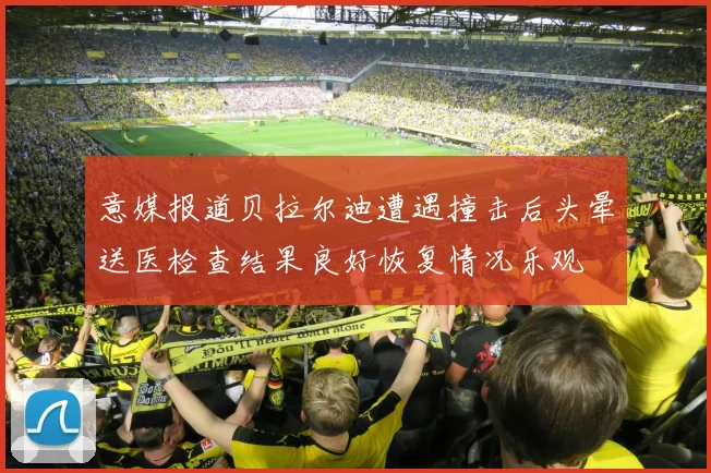 意媒报道贝拉尔迪遭遇撞击后头晕送医检查结果良好恢复情况乐观