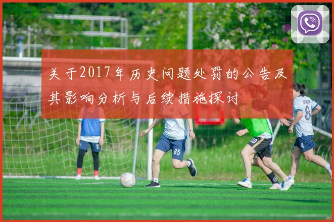 关于2017年历史问题处罚的公告及其影响分析与后续措施探讨