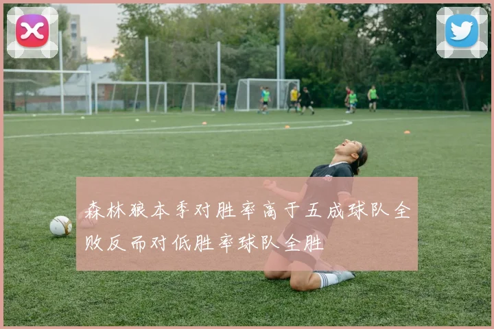 森林狼本季对胜率高于五成球队全败反而对低胜率球队全胜