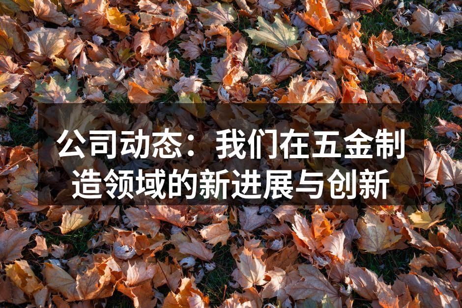 公司动态：我们在五金制造领域的新进展与创新