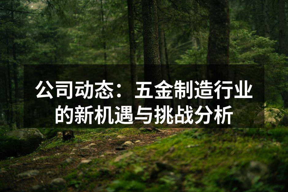 公司动态:五金制造行业的新机遇与挑战分析