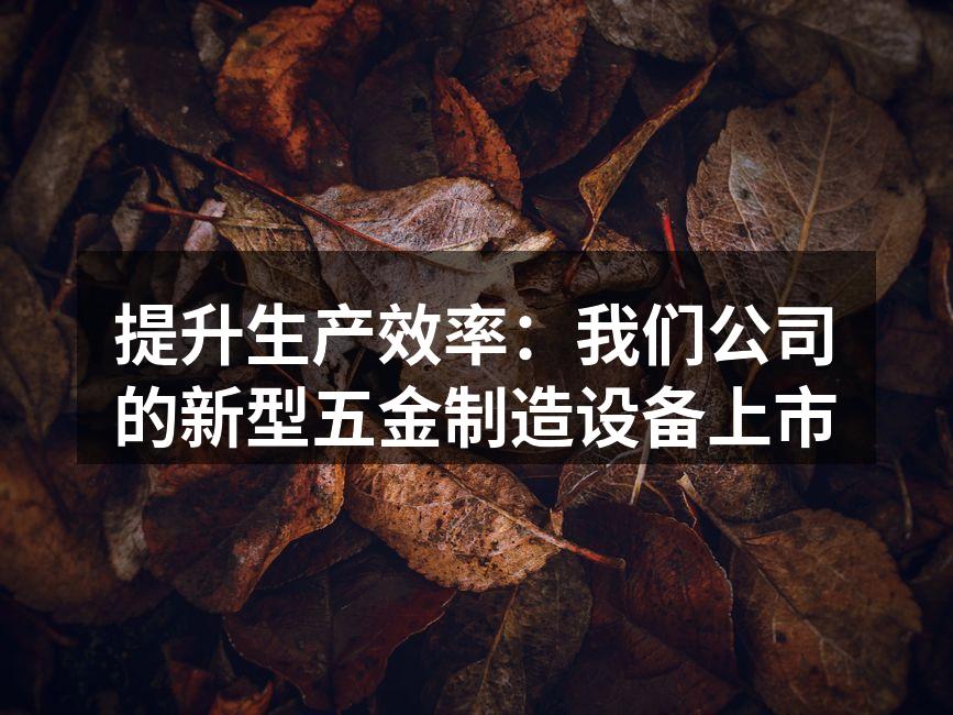 提升生产效率:我们公司的新型五金制造设备上市