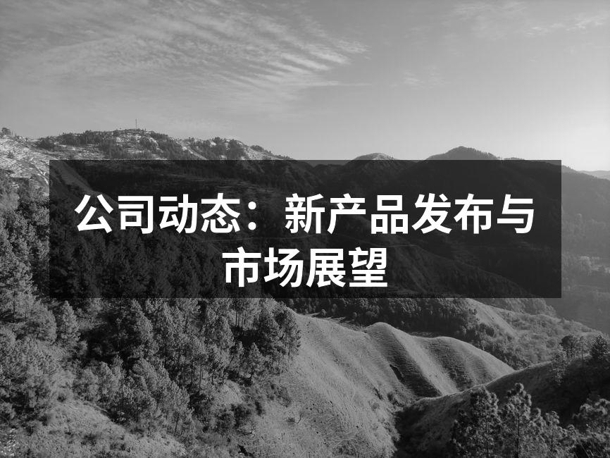 公司动态:新产品发布与市场展望