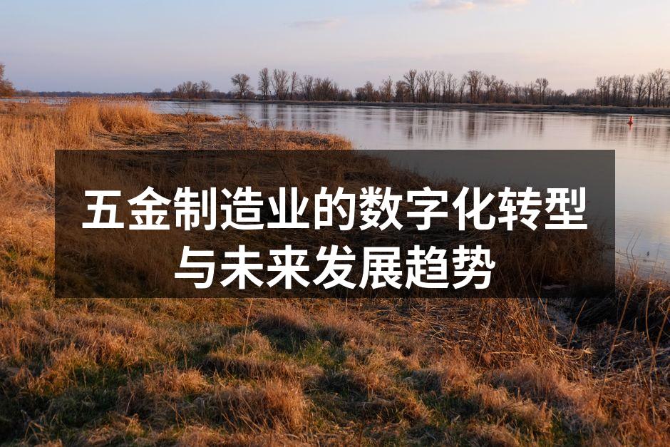 五金制造业的数字化转型与未来发展趋势